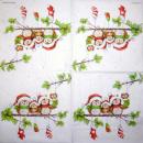 116 Eulen-lagig - Kalamazoo - CS - 24x24cm